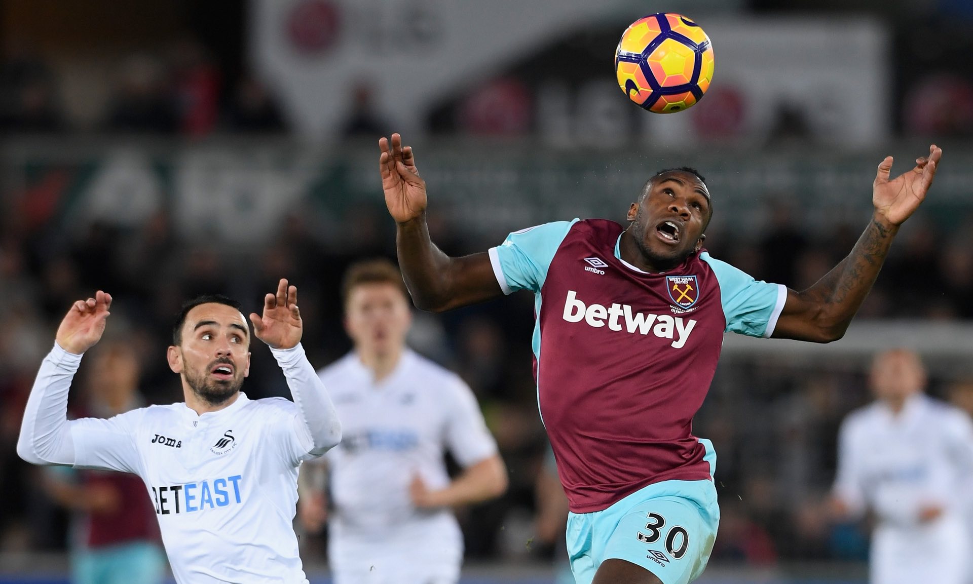 本人无意离 本人无意离